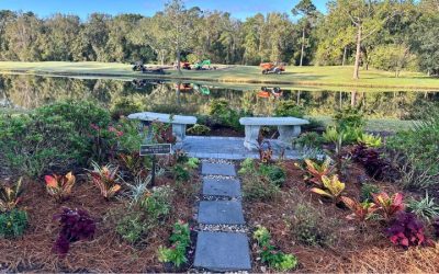 Lorraine’s Garden has Fall Colors