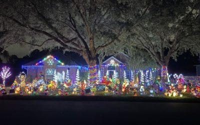 December 2024 Christmas Lights